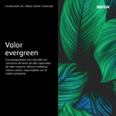 Tóner XEROX D95/110/125/136 — 6